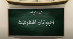 جزيرة العلوم الحلقة 3