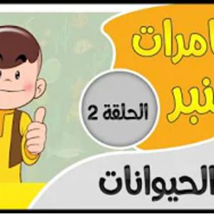 مغامرات قنبر | 2