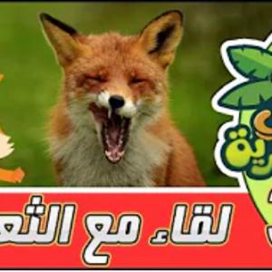 لقاء في البرية | الحلقة الرابعة | لقاء مع الثعلب