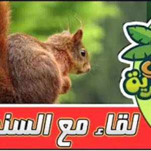 لقاء في البرية | الحلقة السادسة | لقاء مع السنجاب