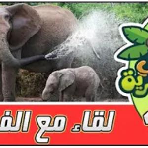 لقاء في البرية | الحلقة الخامسة | لقاء مع الفيل