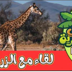 لقاء في البرية | الحلقة السابعة | لقاء مع الزرافة